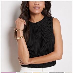 NWT Evereve Mallory Plisse top